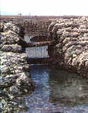 Mur d'cluse de forme arrondie carctristique