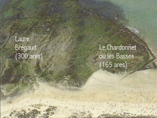 Le Chardonnet ou les Basses, Laure Brgaud aux Sables-Vignier